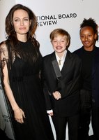 Angelina Jolie longsleeve t-shirt #2977039