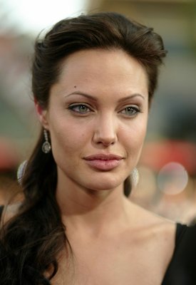 Angelina Jolie Poster 2977217