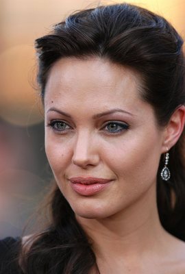 Angelina Jolie stickers 3090257