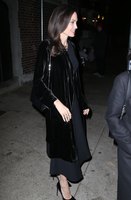 Angelina Jolie hoodie #3220030