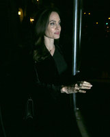 Angelina Jolie hoodie #3220074