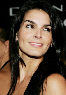 Angie Harmon Poster 1460622