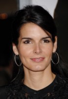 Angie Harmon hoodie #1467555