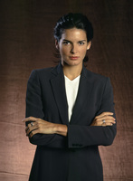 Angie Harmon hoodie #2107334