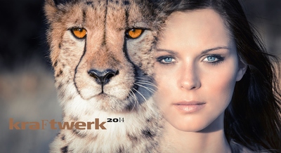Anna Fenninger posters