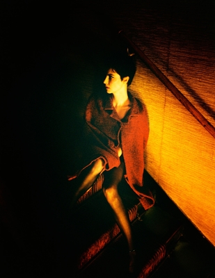 Anna Mouglalis posters