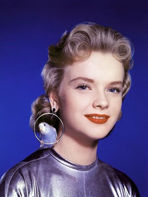 Anne Francis Poster 2671172