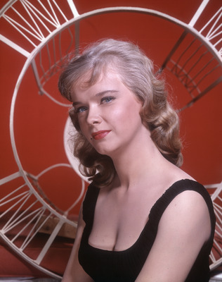Anne Francis Poster 2671184