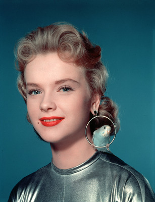Anne Francis Poster 2671191