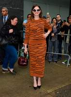 Anne Hathaway Longsleeve T-shirt #3311404