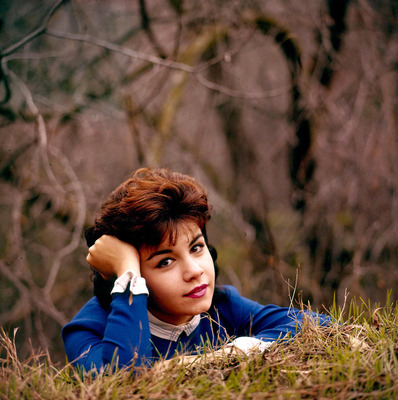 Annette Funicello posters