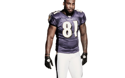 Anquan Boldin canvas poster