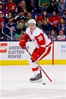 Anthony Mantha mug #G1808870