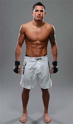Anthony Pettis posters