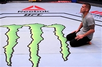 Anthony Pettis longsleeve t-shirt #3513846