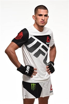 Anthony Pettis posters