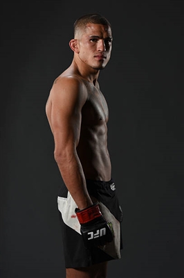 Anthony Pettis posters