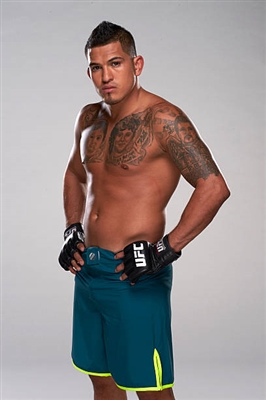 Anthony Pettis posters