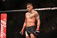 Anthony Pettis hoodie #3514001