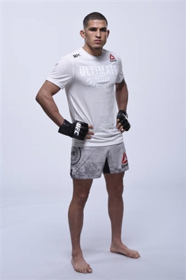 Anthony Pettis posters