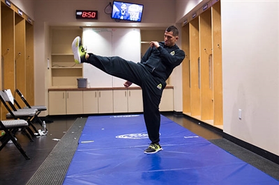 Anthony Pettis posters