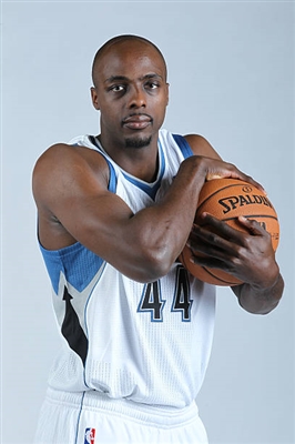 Anthony Tolliver Poster 3451443