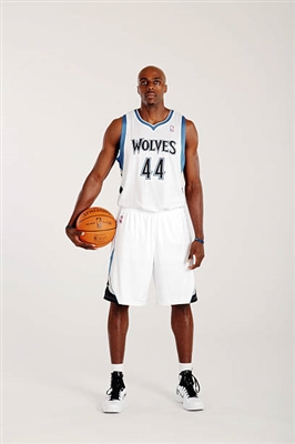 Anthony Tolliver Poster 3451458