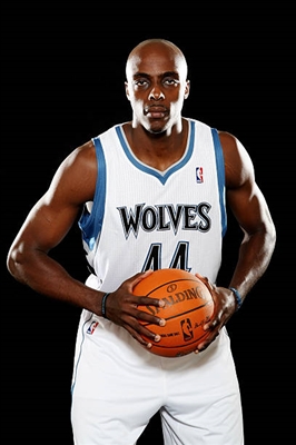 Anthony Tolliver Poster 3451509