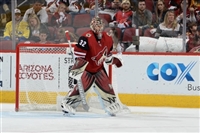 Antti Raanta Sweatshirt #3547946
