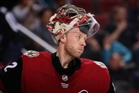Antti Raanta Sweatshirt #3547985