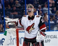 Antti Raanta hoodie #3548007