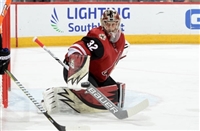 Antti Raanta Sweatshirt #3548025