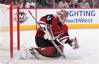 Antti Raanta Sweatshirt #3548069