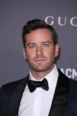 Armie   Hammer Poster 2867133