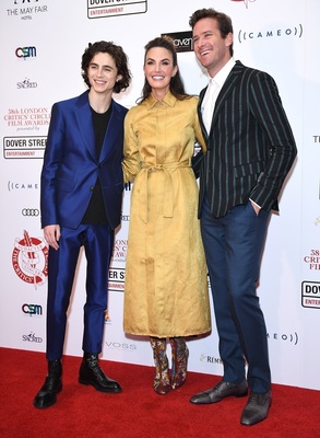 Armie Hammer posters