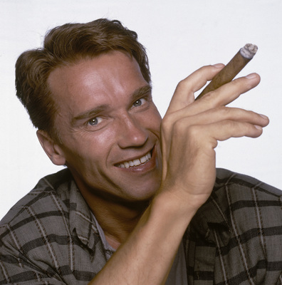 Arnold Schwarzenegger puzzle 2103703