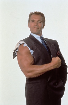 Arnold Schwarzenegger Poster 2108017