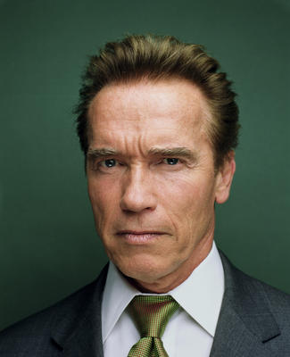 Arnold Schwarzenegger puzzle 2118024