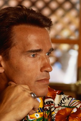 Arnold Schwarzenegger stickers 2118027