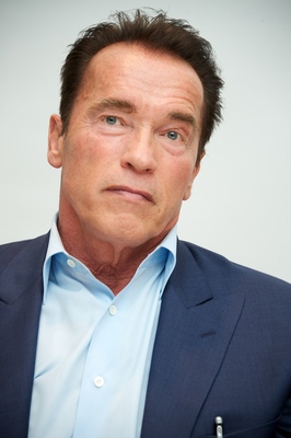 Arnold Schwarzenegger Poster 2298765