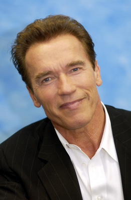 Arnold Schwarzenegger Poster 2324173