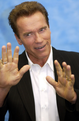Arnold Schwarzenegger Poster 2324175