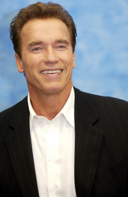 Arnold Schwarzenegger Poster 2324179