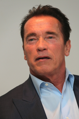 Arnold Schwarzenegger Poster 2344186