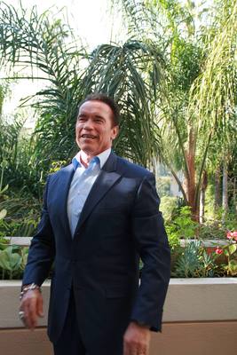 Arnold Schwarzenegger wood print
