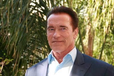 Arnold Schwarzenegger wooden framed poster