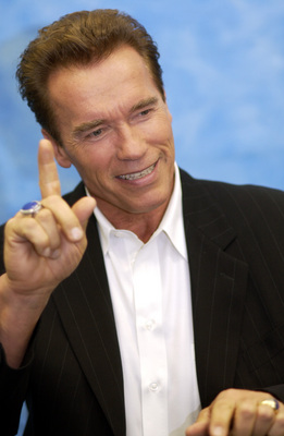 Arnold Schwarzenegger Poster 2392201