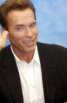 Arnold Schwarzenegger Poster 2392207