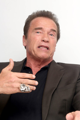 Arnold Schwarzenegger Poster 2492752