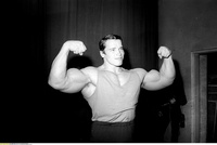 Arnold Schwarzenegger mug #G840462